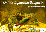 Ausgabe M�rz 2009