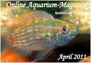 Ausgabe April 2011