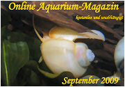 Ausgabe September 2009