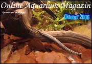 Ausgabe Oktober 2006