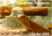 Ausgabe Oktober 2009