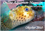 Ausgabe Oktober 2010