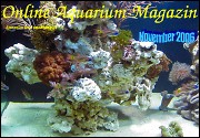Ausgabe November 2006