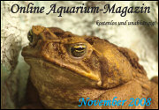 Ausgabe November 2008