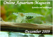 Ausgabe Dezember 2009