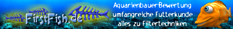 10 FirstFish.de === das aquaristische Wissensportal