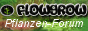Flowgrow