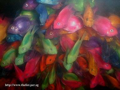 Bunte Fische