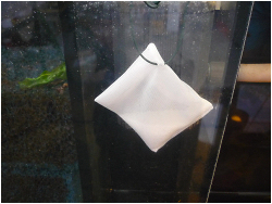 Test: Vanduo AquaRi