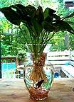 vase1