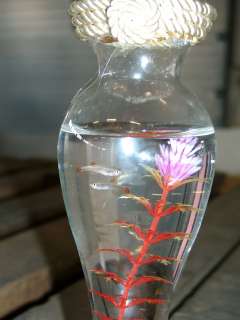Fische in Vasen 1