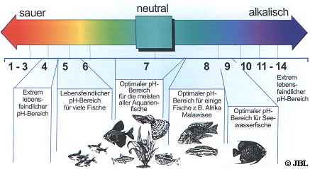 ph-Werte