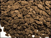 Lava