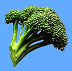 Broccoli