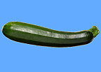 Zucchini